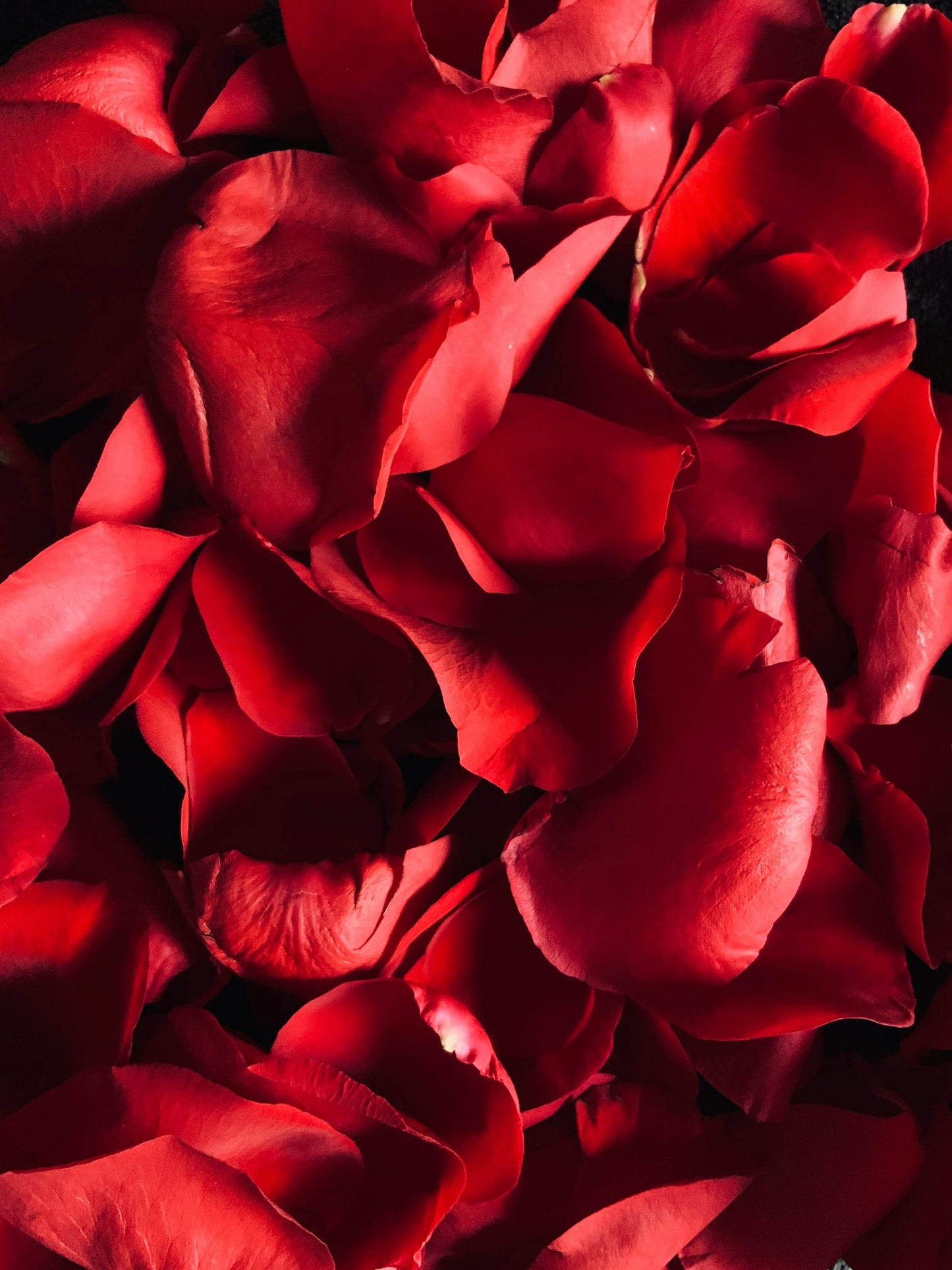 ROSEWATER - Balance, Tone, Prime Skin