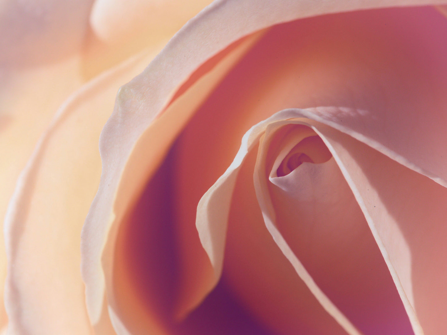 ECZEMA CREAM: Compassionate Care For Flawless Skin