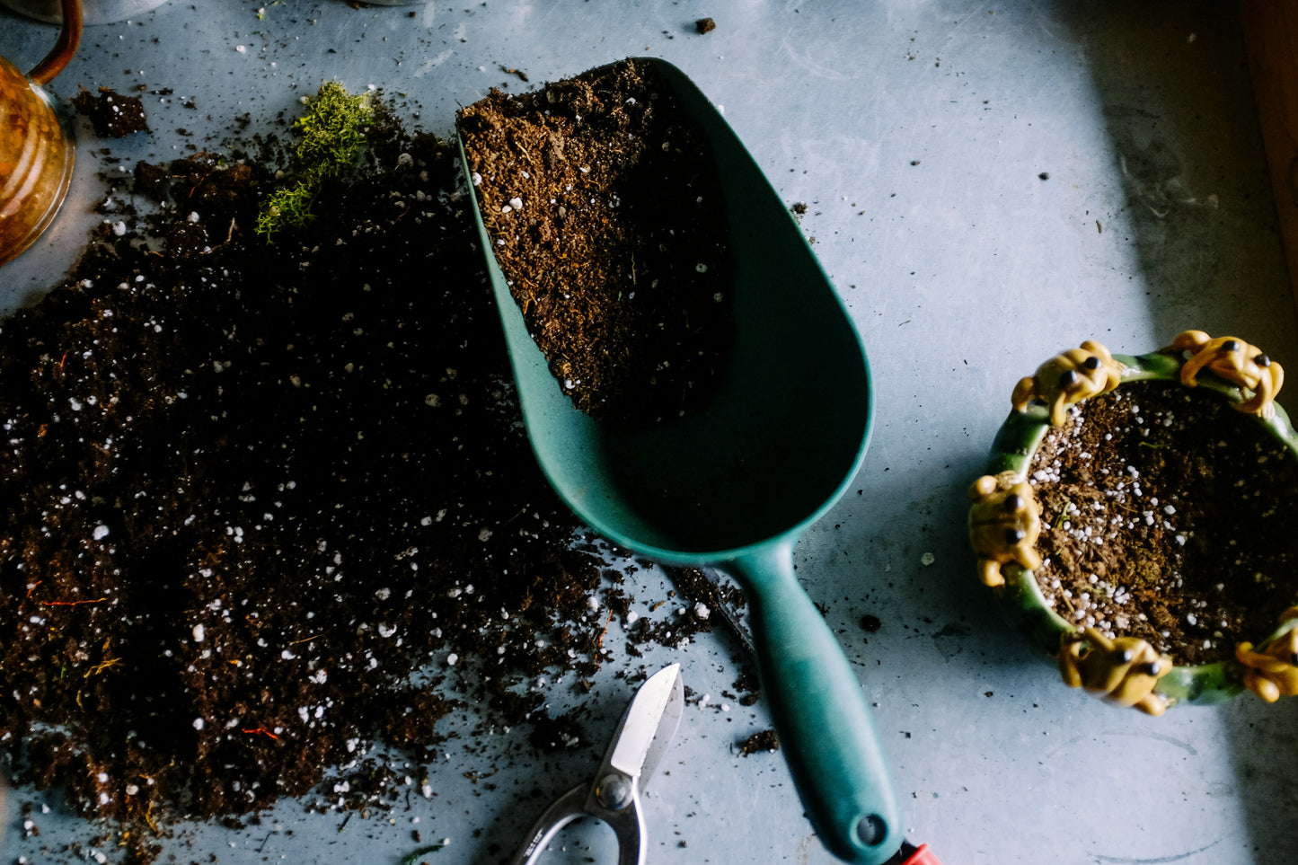 SOIL: Hair Food Kit