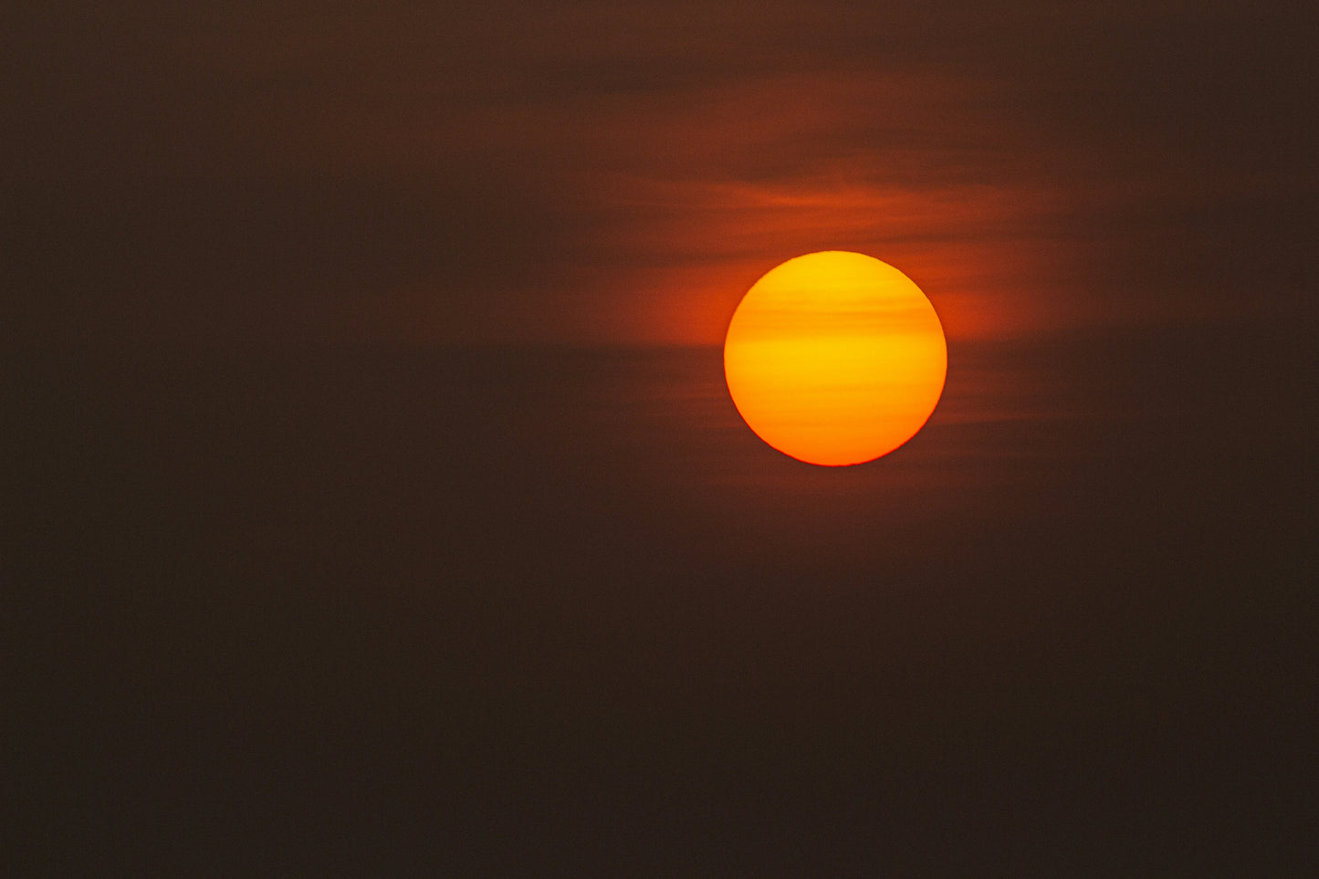 SOL CREAM:The Ultimate Sun Companion